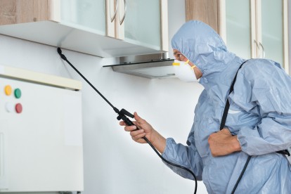 Home Pest Control, Pest Control in Thamesmead, SE28. Call Now 020 8166 9746