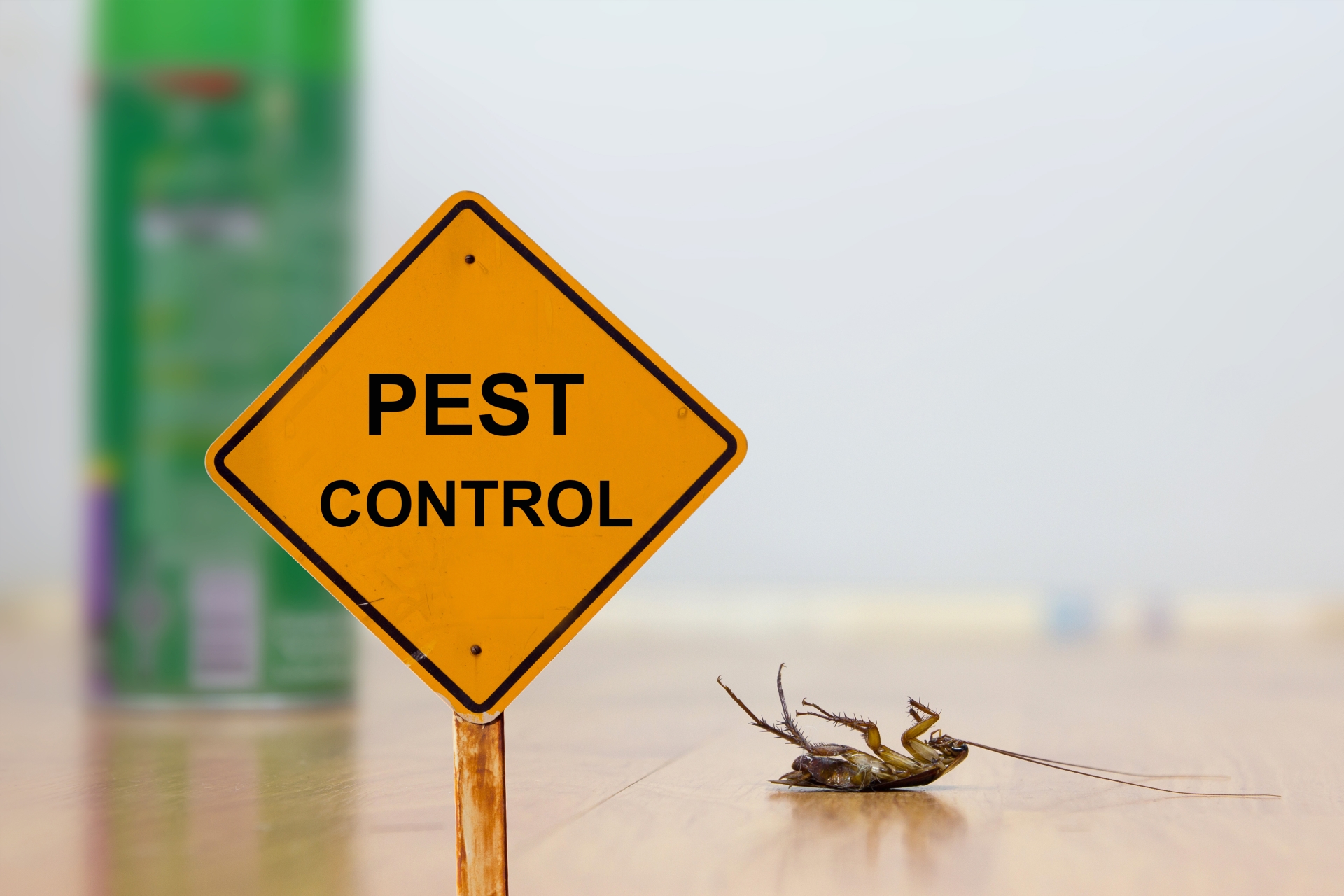 24 Hour Pest Control, Pest Control in Thamesmead, SE28. Call Now 020 8166 9746